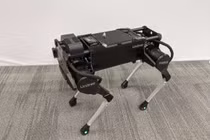 Laikago, robot 4 chân18-DoF, được sử dụng trong thử nghiệm. Ảnh Google