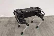 Laikago, robot 4 chân18-DoF, được sử dụng trong thử nghiệm. Ảnh Google
