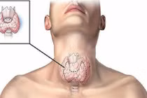 Sai lệch kết quả tuyến giáp vì sử dụng sản phẩm dưỡng da tóc