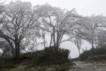 Đỉnh Phja Oắc, Mẫu Sơn, Mèo Vạc kỳ ảo trong băng giá