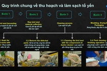  Robot làm sạch tổ yến