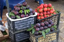 ​​​​​​​Làm sao thì biết làm sao