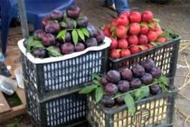 ​​​​​​​Làm sao thì biết làm sao