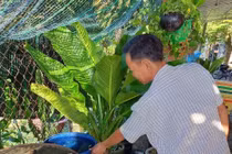 HCDC phát động cuộc thi ảnh “Khoảnh khắc phòng chống sốt xuất huyết”