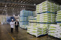 Nhập khẩu hơn 3 tỷ USD thức ăn chăn nuôi trong 8 tháng.