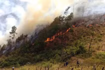 Nghệ An: Chủ động ngăn chặn cháy, nổ trong mùa nắng nóng