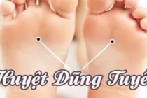 Đắp ngô thù du làm hạ huyết áp