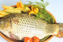 Chuyên gia cảnh báo: Sai lầm khi ăn cá chép có thể gây ngộ độc, hại gan