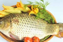 Chuyên gia cảnh báo: Sai lầm khi ăn cá chép có thể gây ngộ độc, hại gan