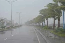 Bão có gây ra tố, lốc?