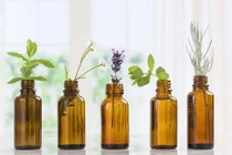 Tác dụng chữa bệnh của tinh dầu