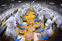 Khuyến cáo thận trọng khi giao dịch với đối tác châu Phi