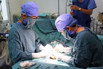 Yếu tố trồng lại chi thể đứt rời thành công