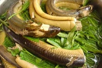 Cá chạch nấu hẹ giúp quý ông giữ phong độ