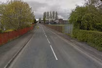 Chó thông minh cứu chủ thoát cưỡng hiếp