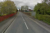 Chó thông minh cứu chủ thoát cưỡng hiếp