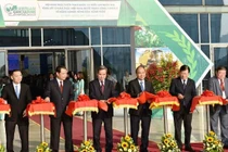 Năm 2020, thu nhập của nông dân sẽ tăng 2,5 lần