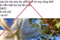 Xử phạt chủ tài khoản Facebook Ngân Hà Trần vụ "bác sĩ Khoa rút ống thở"