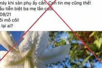 Xử phạt chủ tài khoản Facebook Ngân Hà Trần vụ "bác sĩ Khoa rút ống thở"
