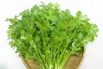 Lá mùi chữa bệnh