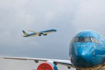 Ngoài Hoa Kỳ, đã có 4 nước đồng ý nối lại đường bay với Việt Nam gồm: Nhật Bản, Đài Bắc (Đài Loan, Trung Quốc), Singapore, Campuchia.