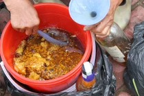 Hiểu đúng về mật ong nhiễm thuốc trừ sâu