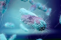 Vi khuẩn thở kim loại - tiềm năng phát triển hệ cảm biến sống