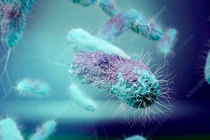 Vi khuẩn thở kim loại - tiềm năng phát triển hệ cảm biến sống