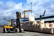 2 tháng đầu năm, xuất khẩu 228 triệu USD xi măng và clinker 