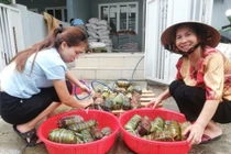 Người dân TP.HCM gói 5.000 bánh chưng, bánh tét gửi vùng lũ miền Trung