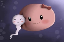 5 quan niệm sai lầm về thụ thai của giới trẻ