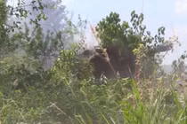 Thương vong nặng nề, cụm binh lực Ukraine ở Luhansk có nguy cơ tan rã