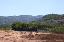 Chuyên gia ‘mổ xẻ’ việc cả nước còn gần 3 triệu ha rừng 'chưa có chủ'