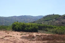 Chuyên gia ‘mổ xẻ’ việc cả nước còn gần 3 triệu ha rừng 'chưa có chủ'