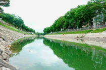 Nước sông Tô Lịch chuyển sang màu xanh 