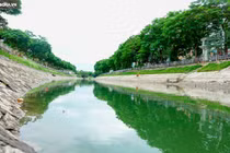 Nước sông Tô Lịch chuyển sang màu xanh 