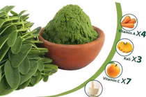 Rau chùm ngây gây mất ngủ