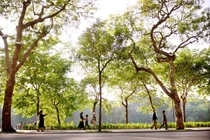 Nồng nàn Thu Hà Nội