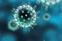 Mối lo nguy cơ kép: Cúm và COVID-19