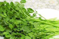 Loại rau thường có ký sinh trùng