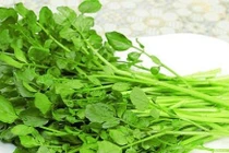 Loại rau thường có ký sinh trùng