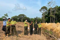 Kiên Giang: Thành lập tổ công tác đặc biệt xử lý việc phá rừng, lấn chiếm đất ở Phú Quốc