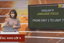 Học sinh cuối cấp Hà Nội học qua truyền hình