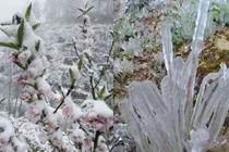 Học sinh vùng núi cao vẫn đi học khi nhiệt độ xuống thấp