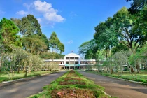 Thu hồi 1.800ha đất của Công ty cao su Đồng Nai với giá 475 triệu đồng/ha