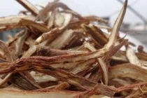 Cái hay trong bài thuốc của Hải Thượng Lãn Ông 