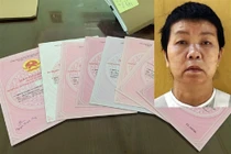 Đối tượng chủ mưu Trần Thị Kim Hoa và số sổ đỏ giả bị cơ quan công an thu giữ. Ảnh: Công an tỉnh Bình Định.