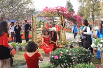 Nghỉ Tết Dương lịch 2021, người dân thích thú 'check in' Lễ hội hoa Xuân Quan