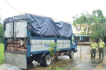 Bắt xe chở gỗ lậu chạy vào đường làng để 'né' kiểm lâm