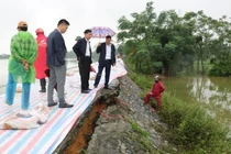 Sụt lún nghiêm trọng tại đê hữu Đáy ở huyện Quốc Oai, Hà Nội